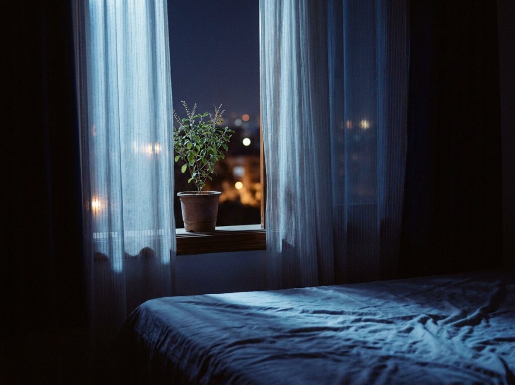 Moonlight through a bedroom window with a tulsi plant on the sill